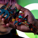 Rolda – Stainless Steel Wide-Toothed Texturizing Comb